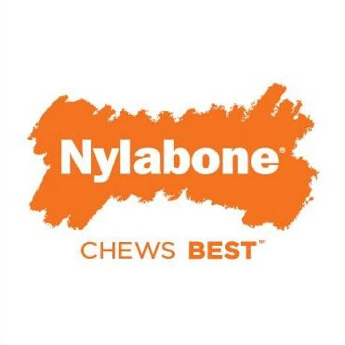 Nylabone Dog Chews Logo at East Coast Pets Clarenville